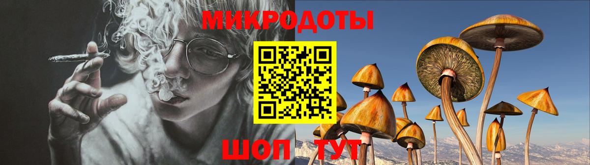Мичуринск  Галлюциногенные грибы GOLDEN TEACHER  Вход с VPN  Галлюциногенные грибы Psilocybe 